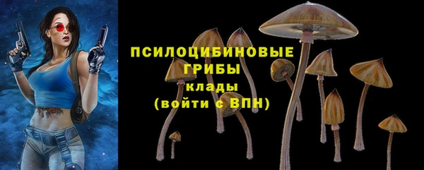 MDMA Каменка