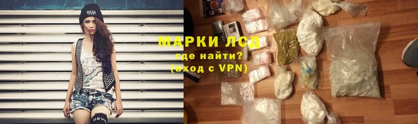 спиды Инта