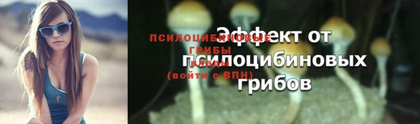 спиды Инта